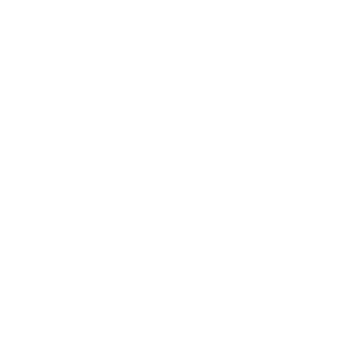 https://terhum.org/wp-content/uploads/2023/01/logo-terhum-Final-transparent-blanc-320x323.png
